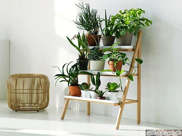 98879_Stepladder-plant-stand.jpg